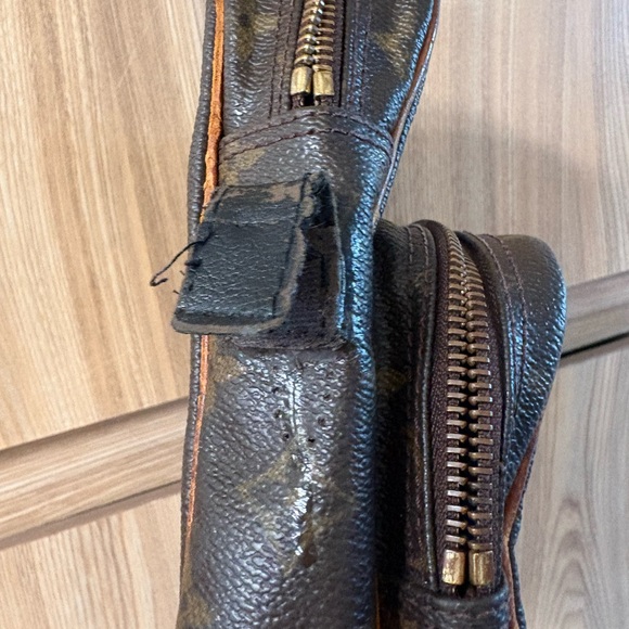 Auth Louis Vuitton Amazon monogram bag No Strap - Picture 8 of 11